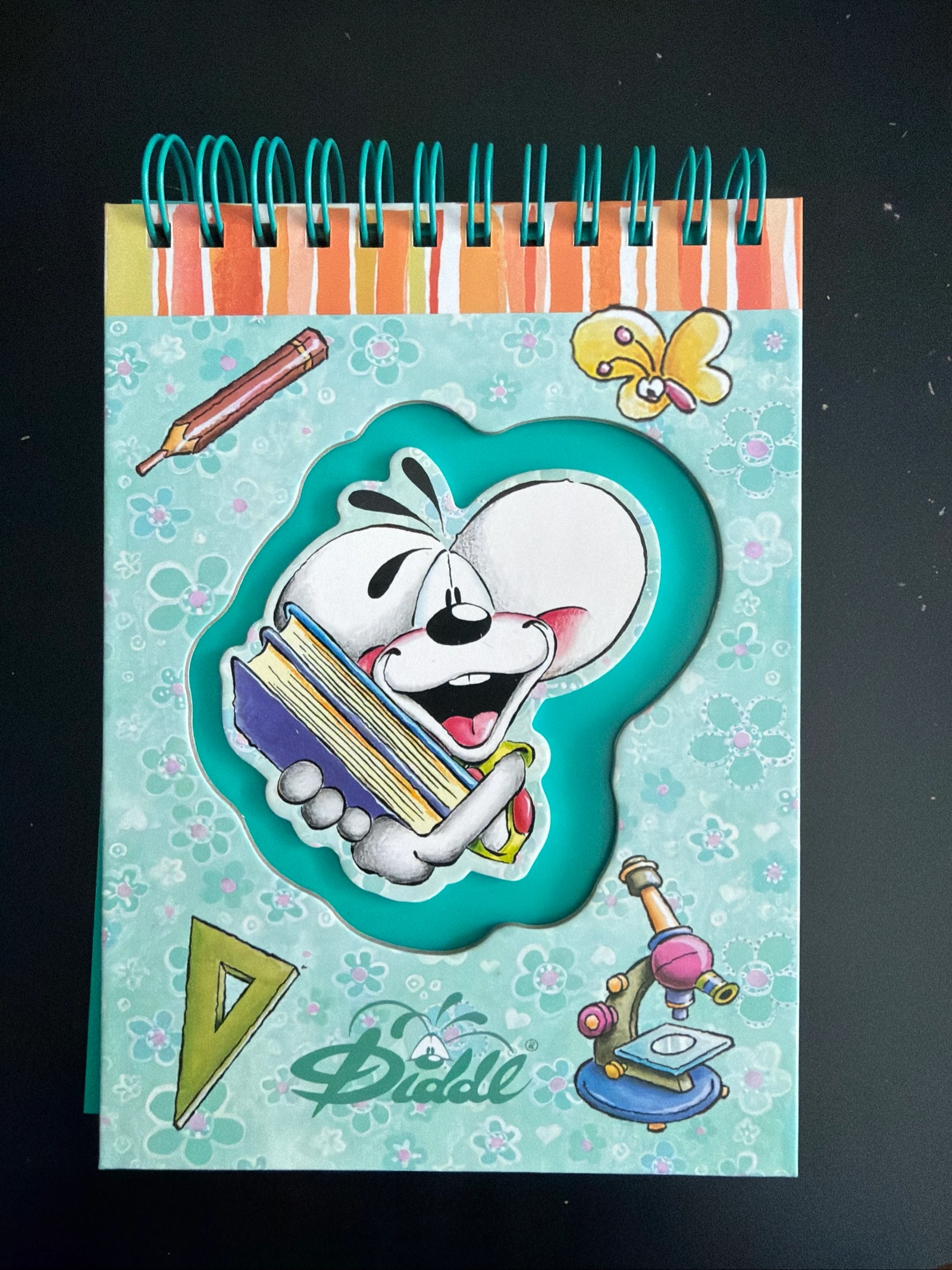 Carnet spirale Diddl collection Summer/Back to school